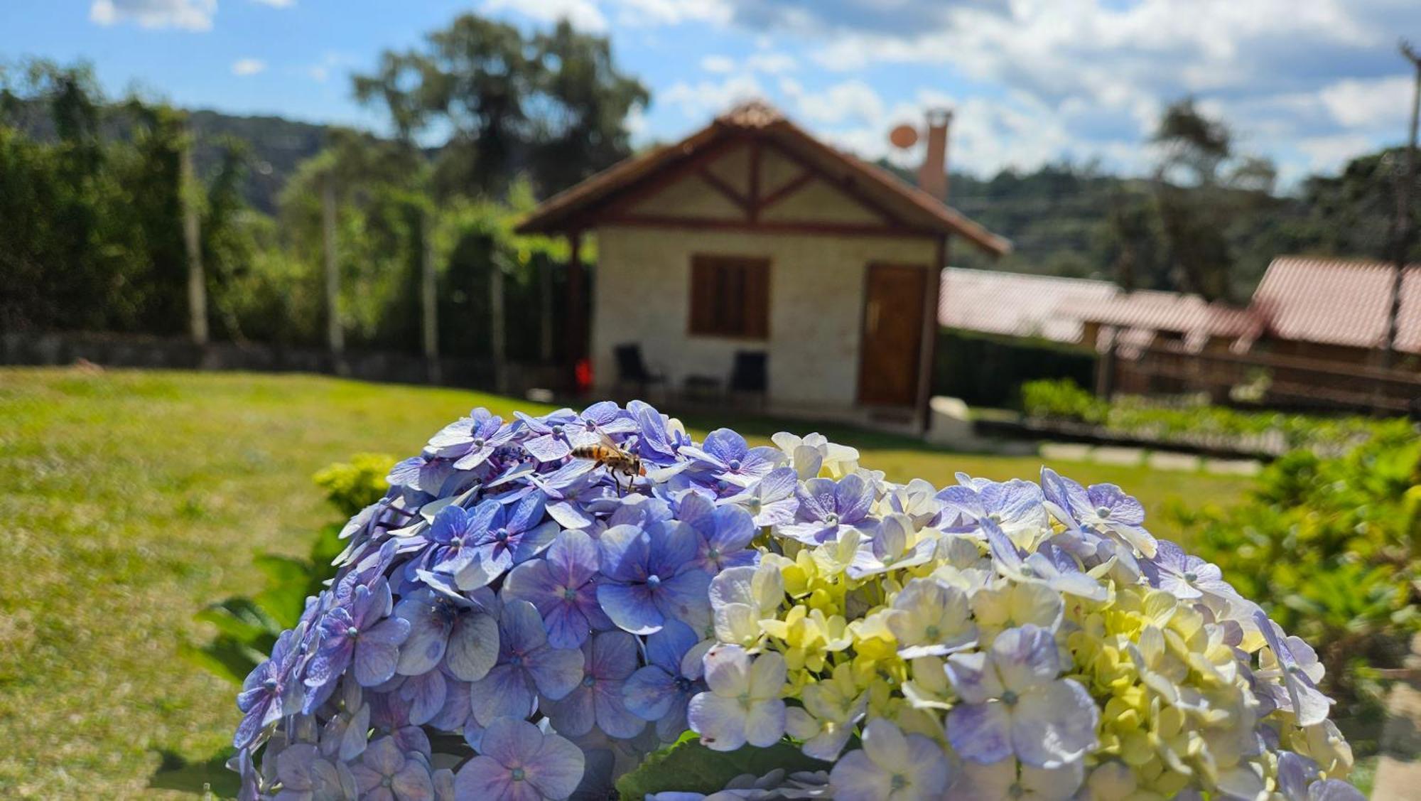 Chale Gosto Da Roca Villa Monte Verde  Exteriör bild